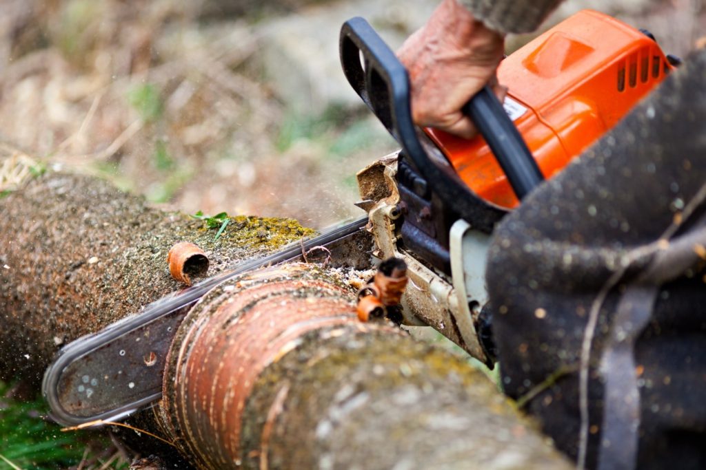 Tree Care Services